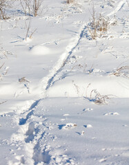 A snow covered field with a path through it