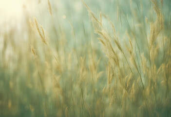 Fototapeta premium embossed style delicate elegant backround design gold green wash stalk muted color texture wall grass rough wild