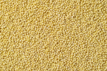 Organic yellow millet grain texture background, Healthy food ingredient