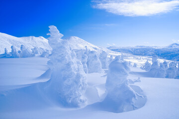 八甲田の樹氷 / Ice Monster