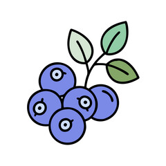 bilberry icon, fruits vector icon - simple vector illustration of a bilberry, in a simple and clean style, suitable for food and health themes. fruits flat illustration.