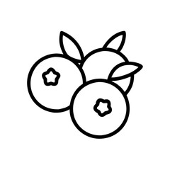 blueberry icon, fruits vector icon - simple vector illustration of a blueberry, in a simple and clean style, suitable for food and health themes. fruits flat illustration.