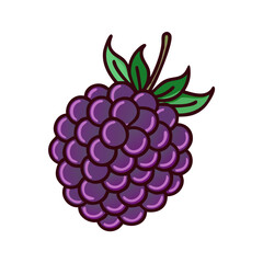boysenberry icon, fruits vector icon - simple vector illustration of a boysenberry, in a simple and clean style, suitable for food and health themes. fruits flat illustration.