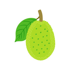 breadfruit icon, fruits vector icon - simple vector illustration of a breadfruit, in a simple and clean style, suitable for food and health themes. fruits flat illustration.