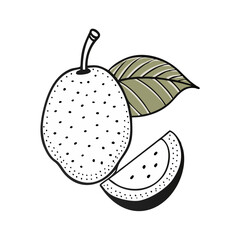 breadfruit icon, fruits vector icon - simple vector illustration of a breadfruit, in a simple and clean style, suitable for food and health themes. fruits flat illustration.