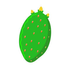 cactus pear icon, fruits vector icon - simple vector illustration of a cactus pear, in a simple and clean style, suitable for food and health themes. fruits flat illustration.