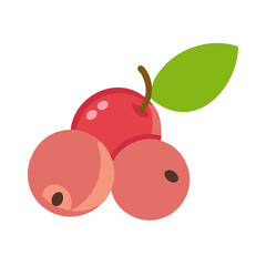 camu camu icon, fruits vector icon - simple vector illustration of a camu camu, in a simple and clean style, suitable for food and health themes. fruits flat illustration.