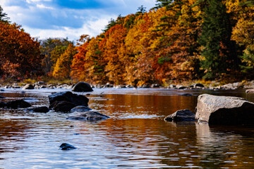 Rocks in a calm river pond with autumn leaves in the background