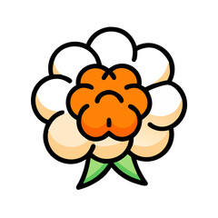 cloudberry icon, fruits vector icon - simple vector illustration of a cloudberry, in a simple and clean style, suitable for food and health themes. fruits flat illustration.