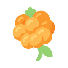 cloudberry icon, fruits vector icon - simple vector illustration of a cloudberry, in a simple and clean style, suitable for food and health themes. fruits flat illustration.