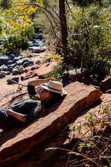 Woman relaxing in the shade immersed in nature