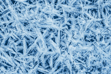Close up photo of hoar frost