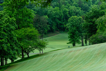 Golf course fairway with grass and trees.