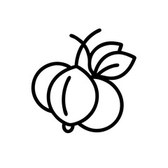 gooseberry icon, fruits vector icon - simple vector illustration of a gooseberry, in a simple and clean style, suitable for food and health themes. fruits flat illustration.