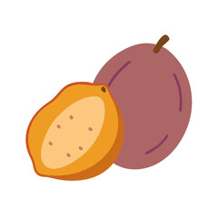 hog plum icon, fruits vector icon - simple vector illustration of a hog plum, in a simple and clean style, suitable for food and health themes. fruits flat illustration.