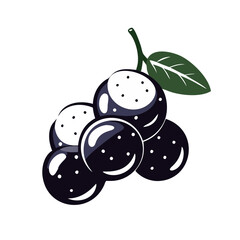 jabuticaba icon, fruits vector icon - simple vector illustration of a jabuticaba, in a simple and clean style, suitable for food and health themes. fruits flat illustration.