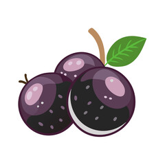jabuticaba icon, fruits vector icon - simple vector illustration of a jabuticaba, in a simple and clean style, suitable for food and health themes. fruits flat illustration.