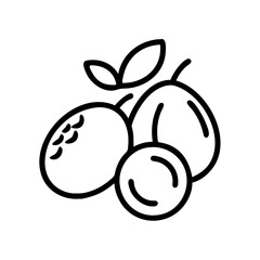 jujube icon, fruits vector icon - simple vector illustration of a jujube, in a simple and clean style, suitable for food and health themes. fruits flat illustration.