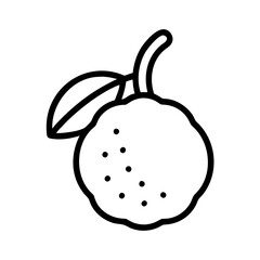 lychee icon, fruits vector icon - simple vector illustration of a lychee, in a simple and clean style, suitable for food and health themes. fruits flat illustration.