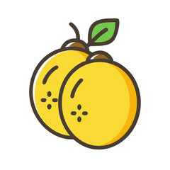 marula icon, fruits vector icon - simple vector illustration of a marula, in a simple and clean style, suitable for food and health themes. fruits flat illustration.