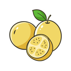 marula icon, fruits vector icon - simple vector illustration of a marula, in a simple and clean style, suitable for food and health themes. fruits flat illustration.