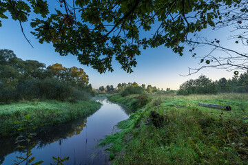 A river with a tree branch over it