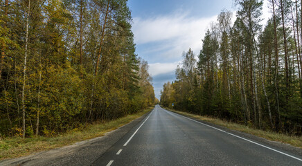 Naklejka premium A road with trees on both sides and a clear blue sky