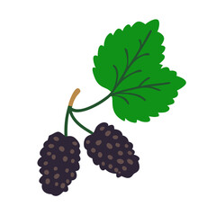 mulberry icon, fruits vector icon - simple vector illustration of a mulberry, in a simple and clean style, suitable for food and health themes. fruits flat illustration.