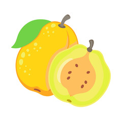quince icon, fruits vector icon - simple vector illustration of a quince, in a simple and clean style, suitable for food and health themes. fruits flat illustration.