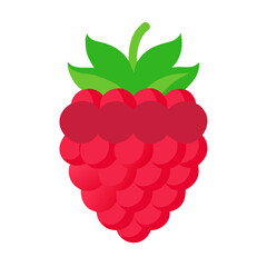 raspberry icon, fruits vector icon - simple vector illustration of a raspberry, in a simple and clean style, suitable for food and health themes. fruits flat illustration.