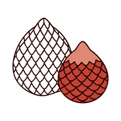 salak  snake fruit  icon, fruits vector icon - simple vector illustration of a salak  snake fruit , in a simple and clean style, suitable for food and health themes. fruits flat illustration.