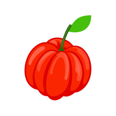 surinam cherry icon, fruits vector icon - simple vector illustration of a surinam cherry, in a simple and clean style, suitable for food and health themes. fruits flat illustration.