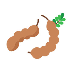tamarind icon, fruits vector icon - simple vector illustration of a tamarind, in a simple and clean style, suitable for food and health themes. fruits flat illustration.