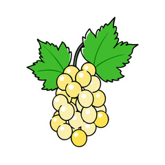 whitecurrant icon, fruits vector icon - simple vector illustration of a whitecurrant, in a simple and clean style, suitable for food and health themes. fruits flat illustration.