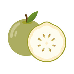 white sapote icon, fruits vector icon - simple vector illustration of a white sapote, in a simple and clean style, suitable for food and health themes. fruits flat illustration.