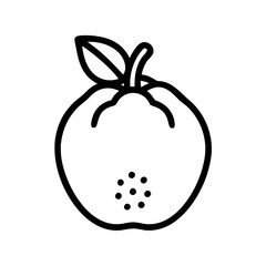 white sapote icon, fruits vector icon - simple vector illustration of a white sapote, in a simple and clean style, suitable for food and health themes. fruits flat illustration.