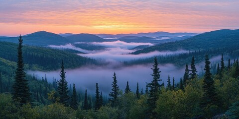 Fototapeta premium Sunrise illuminating misty valley and rolling hills in appalachian mountains