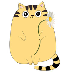 Red cat with daisy without background vector