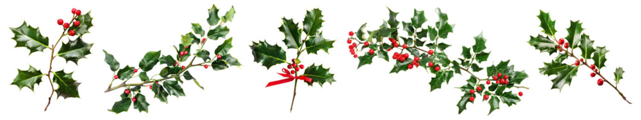 Christmas mistletoe branch png cut out element set