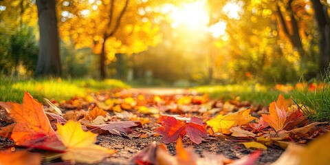 The ground, adorned with dirt and grass, is now blanketed by the colorful, vibrant leaves that fall in autumn, creating a beautiful seasonal scene.