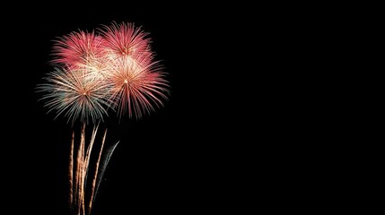 Fototapeta premium Fireworks illuminate the night sky in a vibrant display as part of a celebration for the Chinese New Year, creating a festive atmosphere with plenty of photo style copy space.