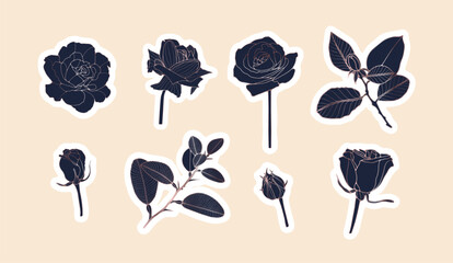 Set of cute handmade stickers with rose flowers, buds and leaves. Vector floral illustration