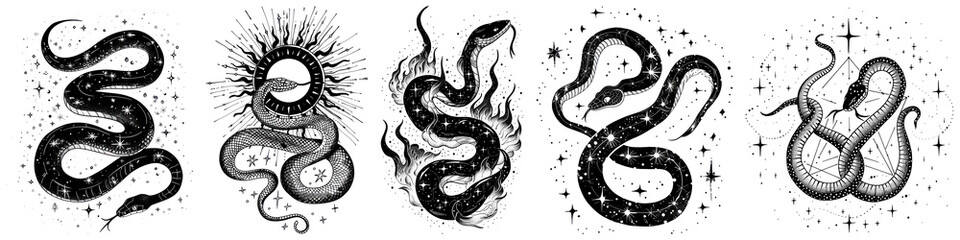 Fototapeta premium Snake zodiac png cut out element set