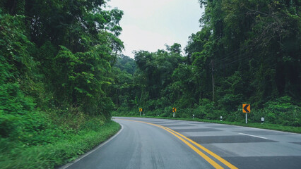 Fototapeta premium The asphalt road and green forest along both side