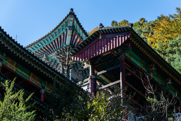 low-angle view of the Buddhist temple buildings - Powered by Adobe