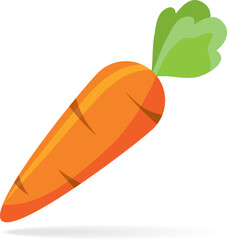 Carrot, realistic carrot icon isolated on white background with shadow. Vector, designer illustration.