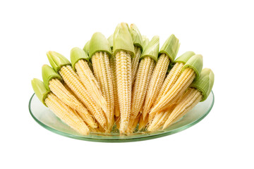 A stack of fresh yellow baby corn, half-peeled and ready to cook. Photographed on a white background