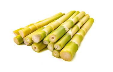 fresh bamboo shoots on white background