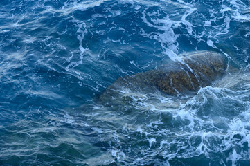Gentle waves lap against rocky outcrops in a tranquil ocean scene at sunrise.