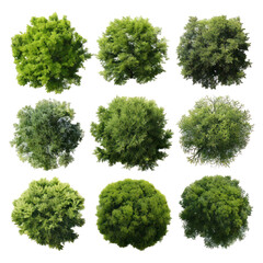 Obraz premium 6-Pack of Watercolor Tree Top View Illustrations for Architectural Designs, Isolated on White Background